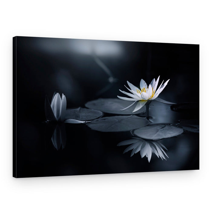Serene Water Lilies – Canvas Print