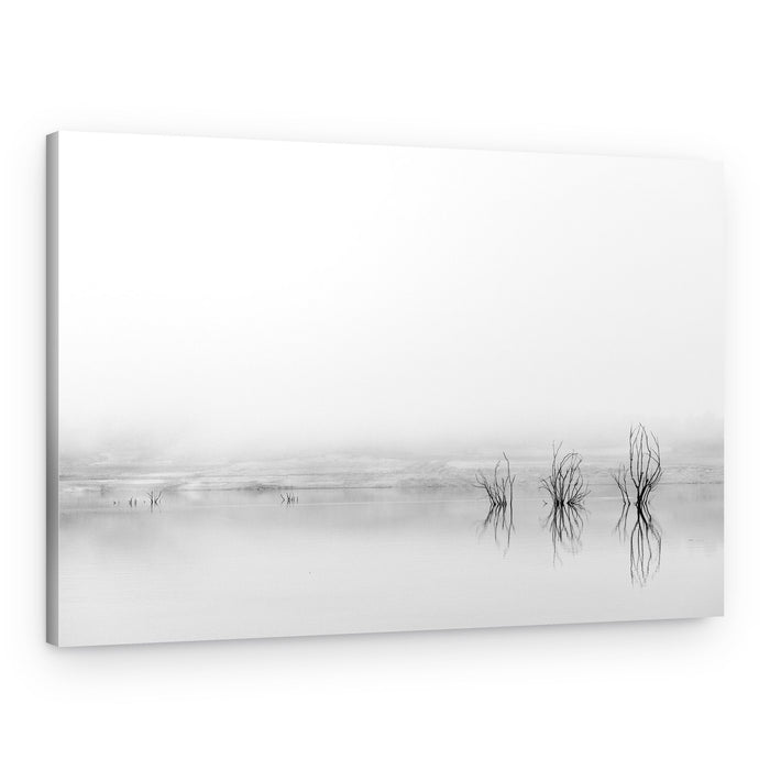 Misty Lake Trees – Canvas Print