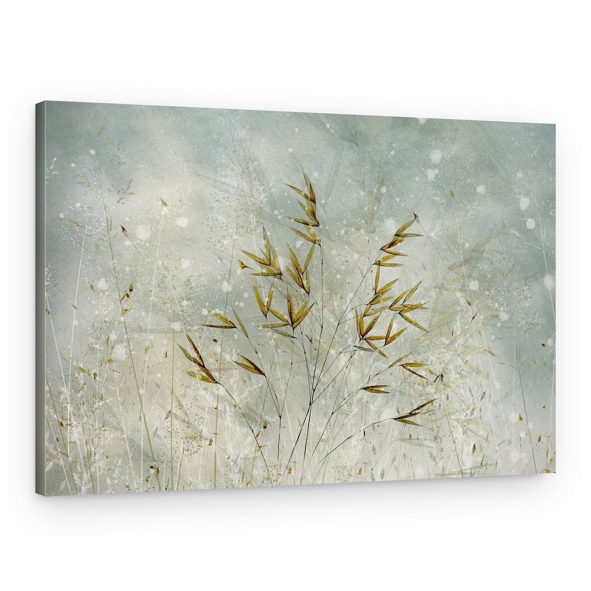 Wintertime – Canvas Print