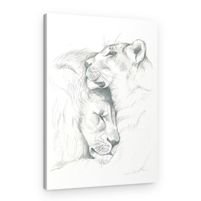 Lion Serenity – Canvas Print