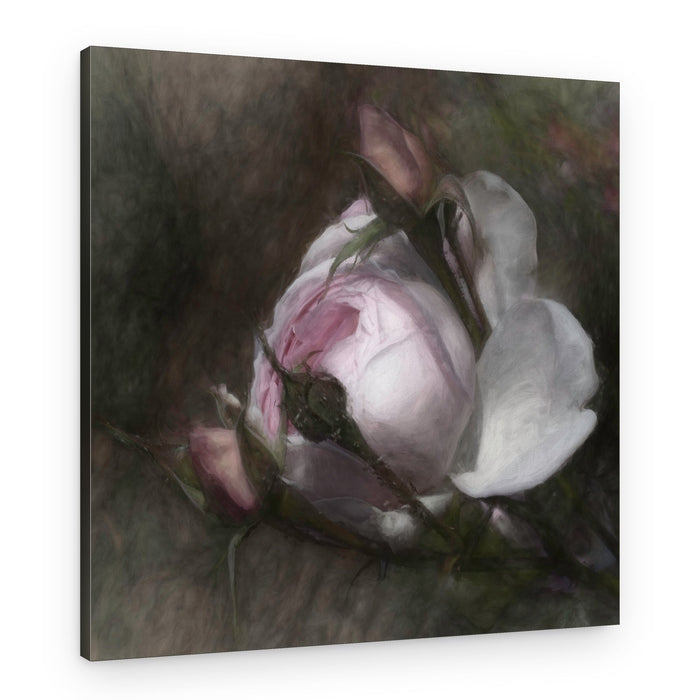 Soft Pink Roses – Canvas Print