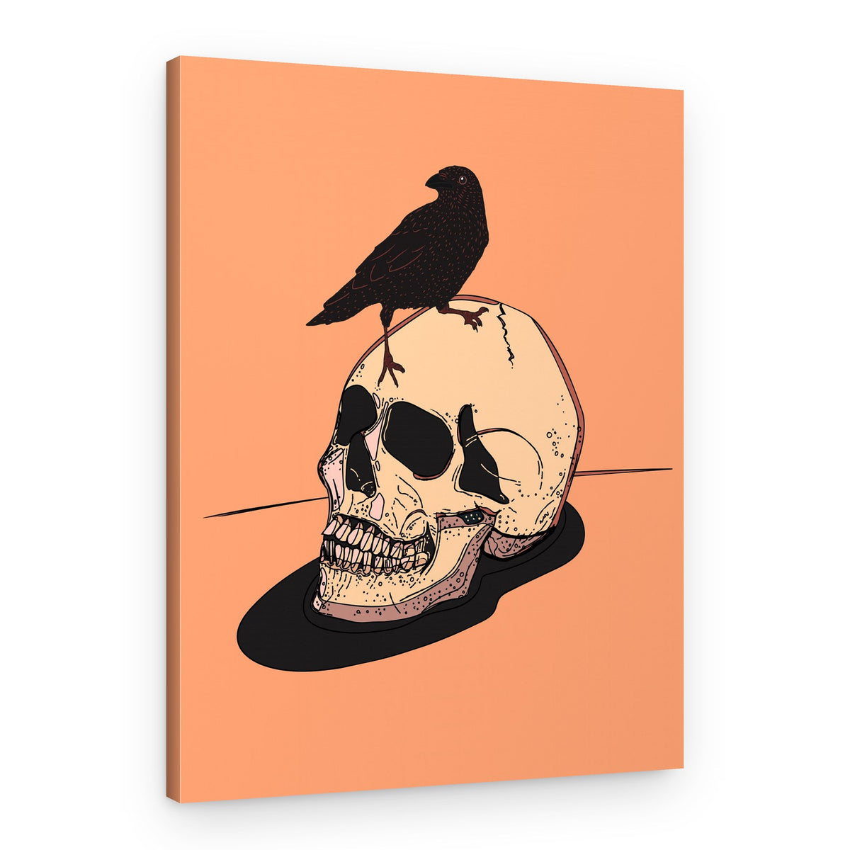 Raven on Human Skull – Canvas Print