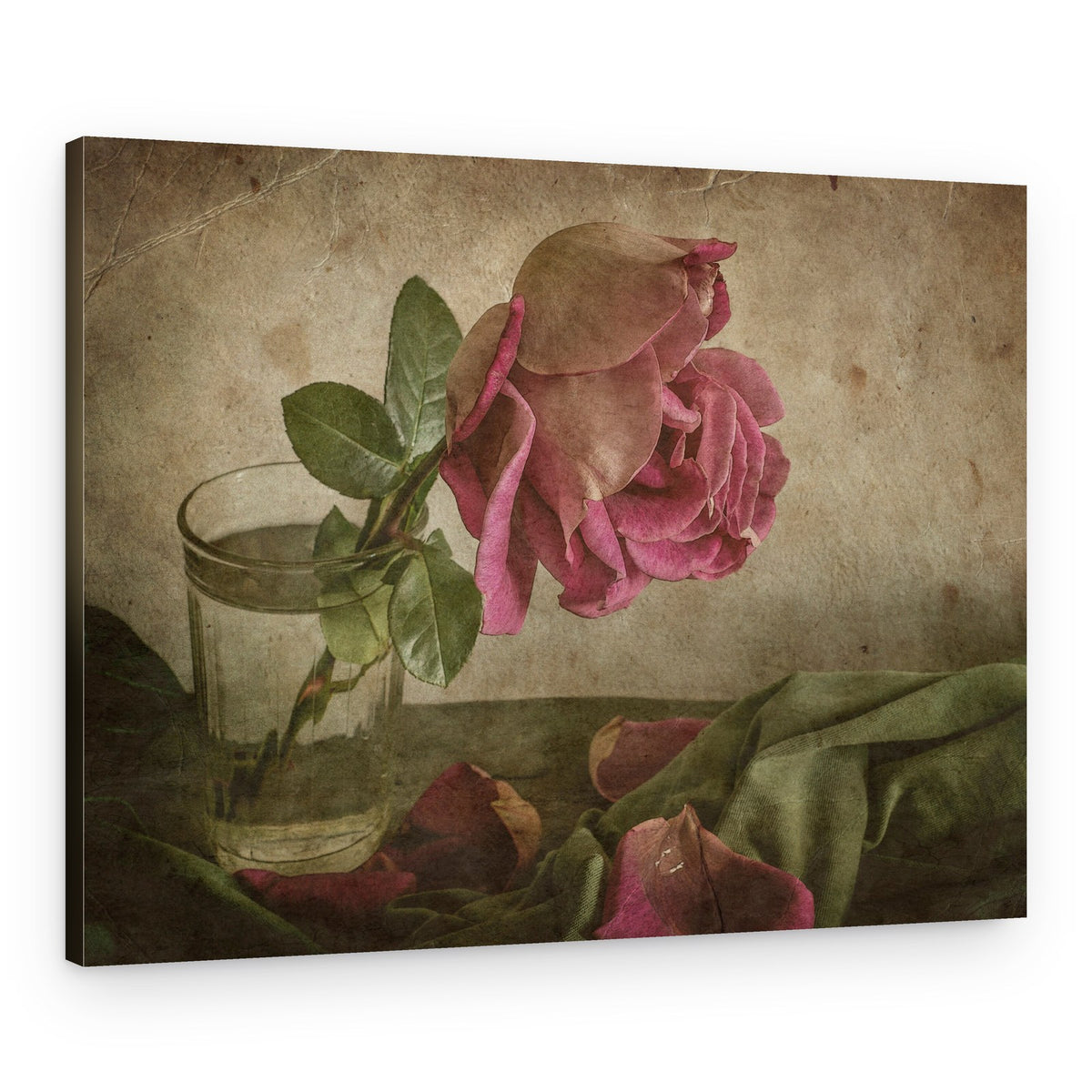 Fading Rose Still Life – Canvas Print