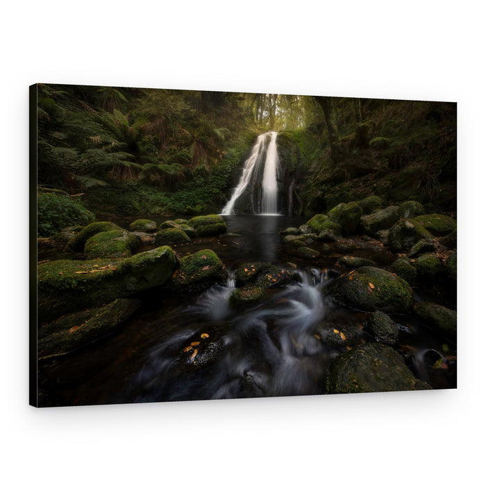 Emerald Forest Falls – Canvas Print