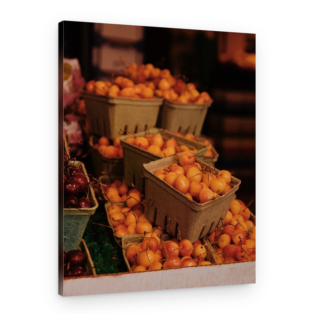 Sweet Cherry Harvest – Canvas Print