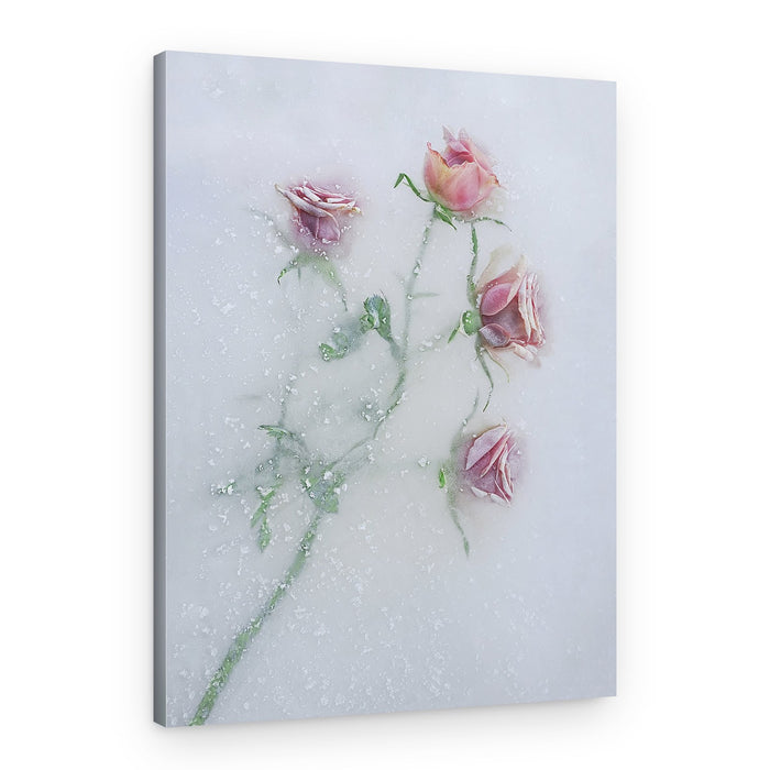 Frozen Pink Roses – Canvas Print