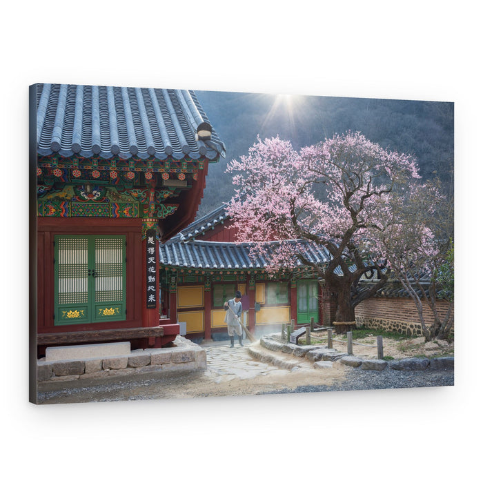 Korean Temple Blossoms – Canvas Print