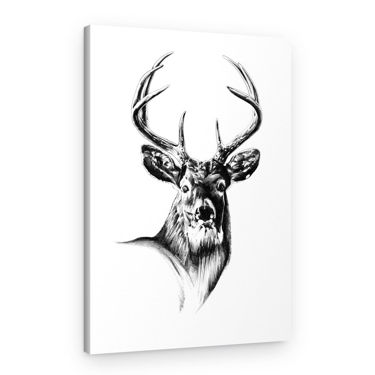 Majestic Buck Portrait – Canvas Print