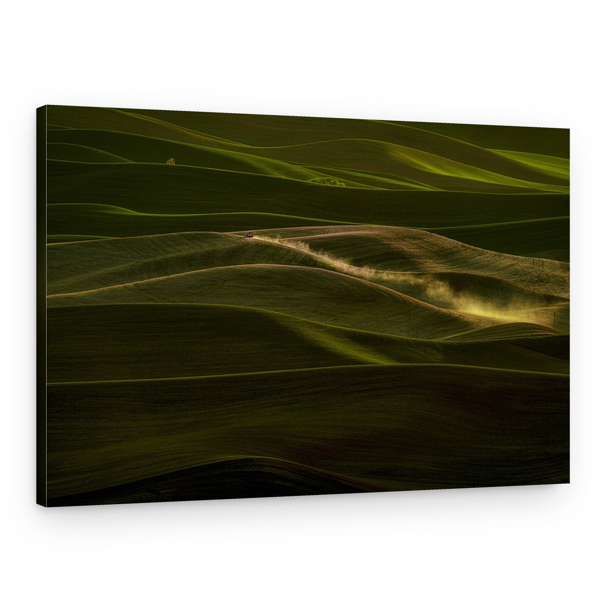 Golden Dust Over Hills – Canvas Print