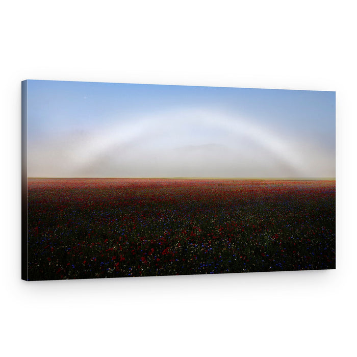 Poppy Field Fogbow – Canvas Print