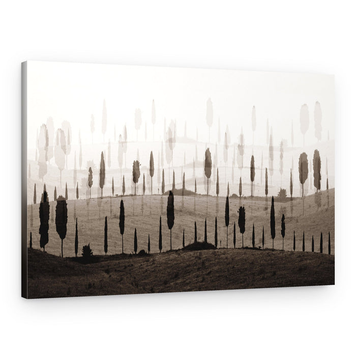 Dreamy Cypress Hills – Canvas Print