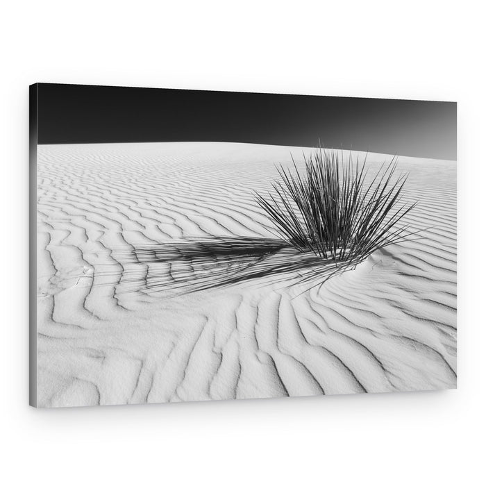 White Dunes Serenity – Canvas Print