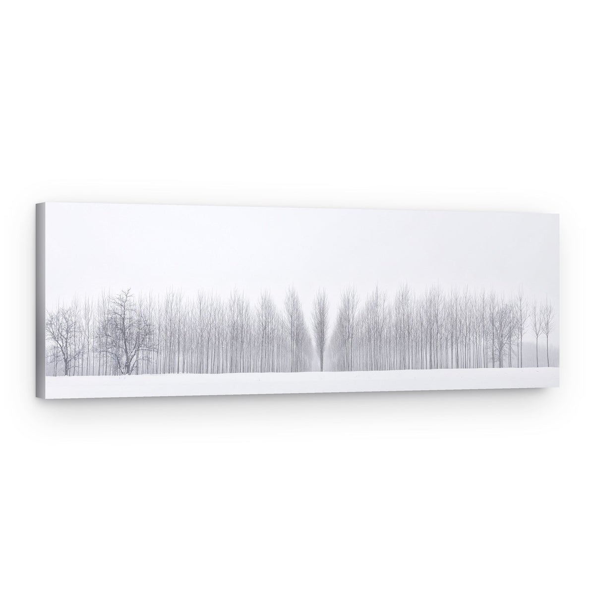 Winter Forest Serenity – Canvas Print