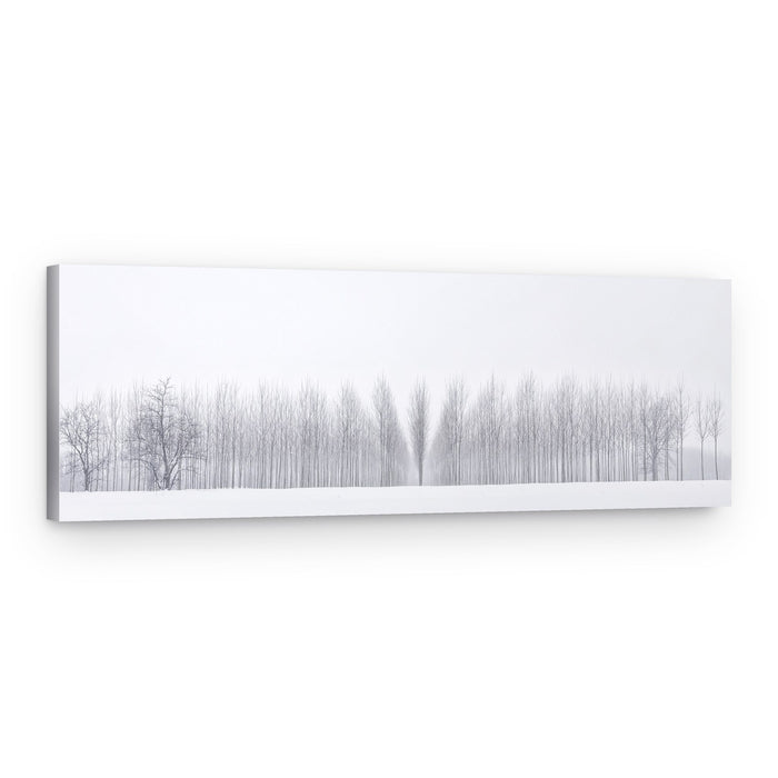 Winter Forest Serenity – Canvas Print