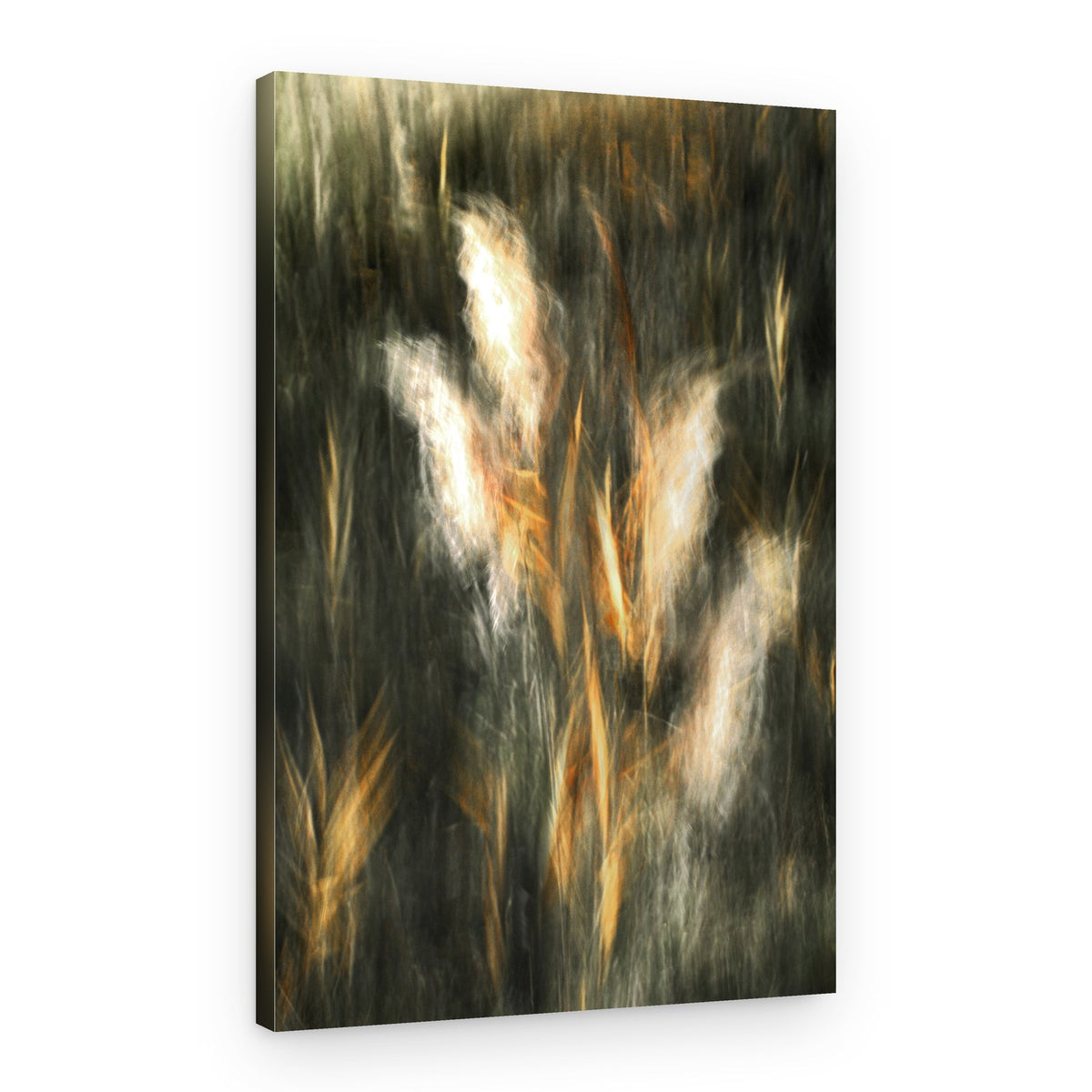 Ethereal Golden Grass – Canvas Print