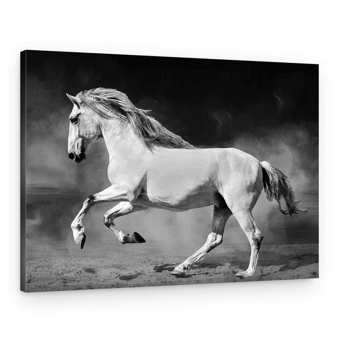 Majestic White Horse Galloping – Canvas Print
