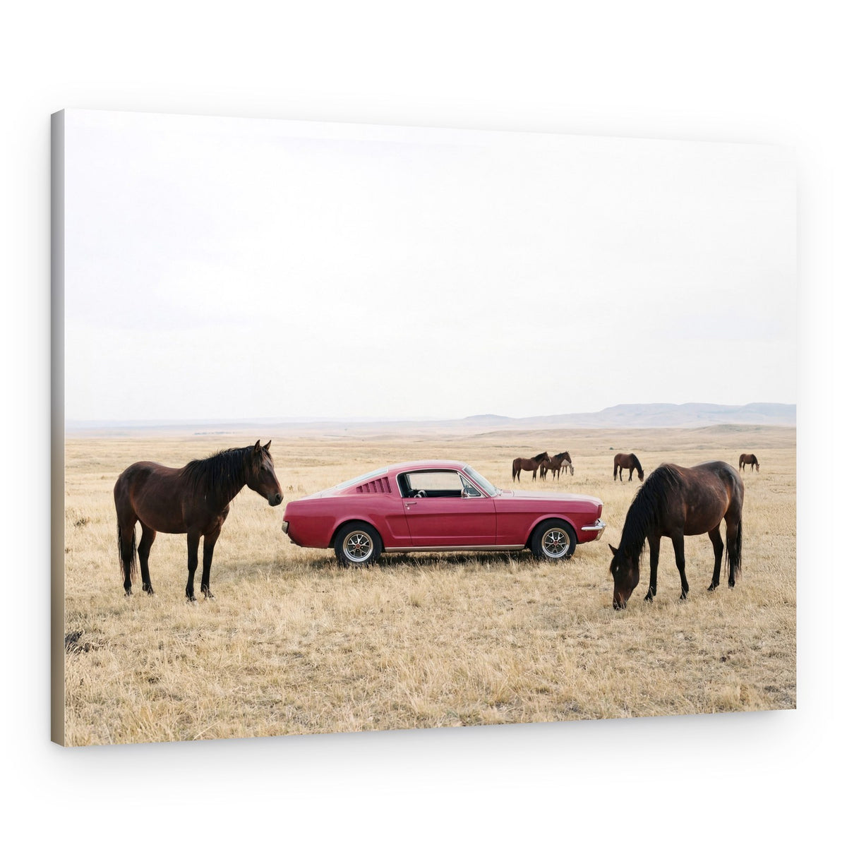 Wild Plains – Canvas Print