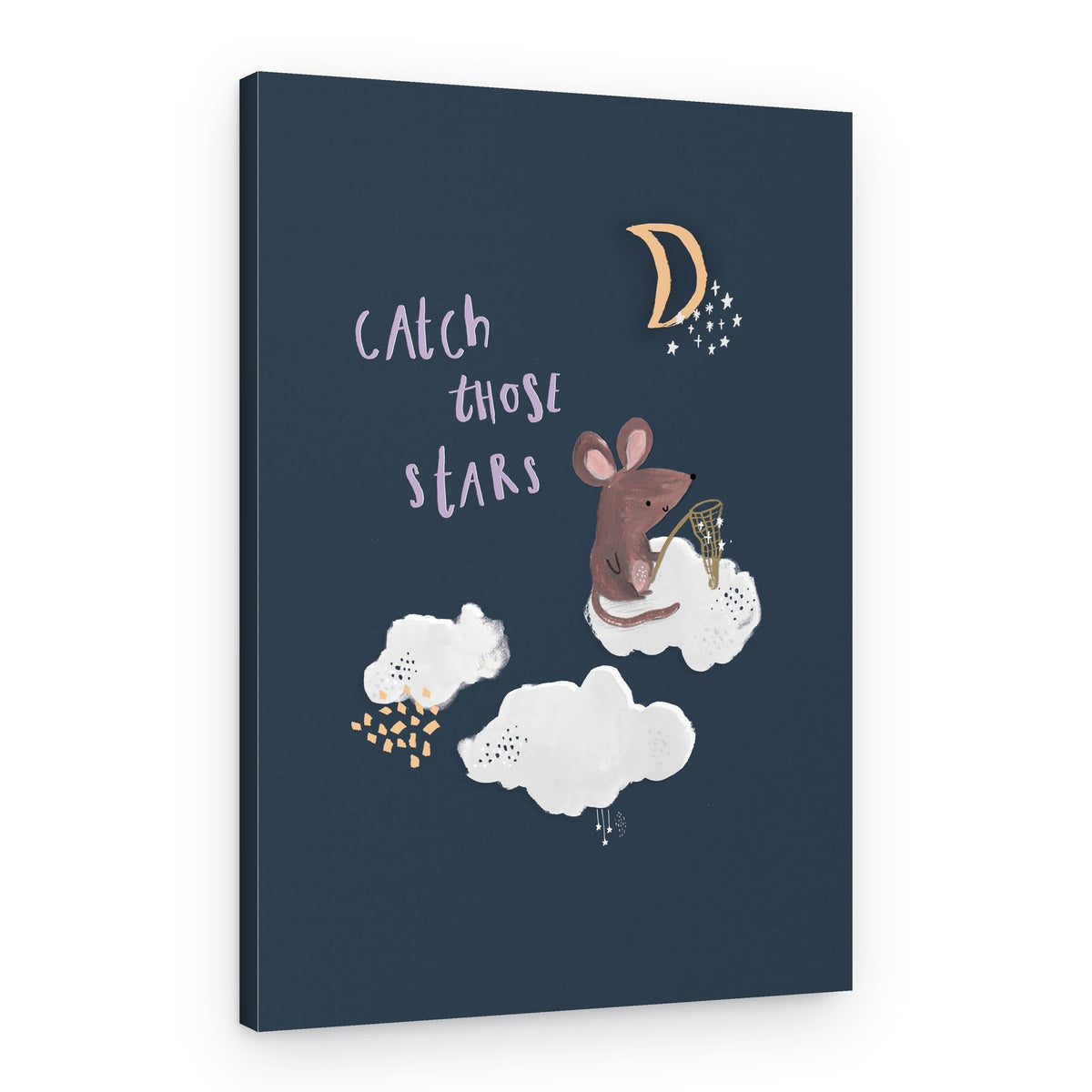 Catch Those Stars – Canvas Print