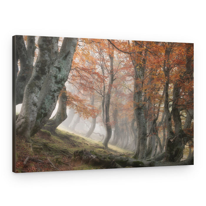 Misty Autumn Forest – Canvas Print