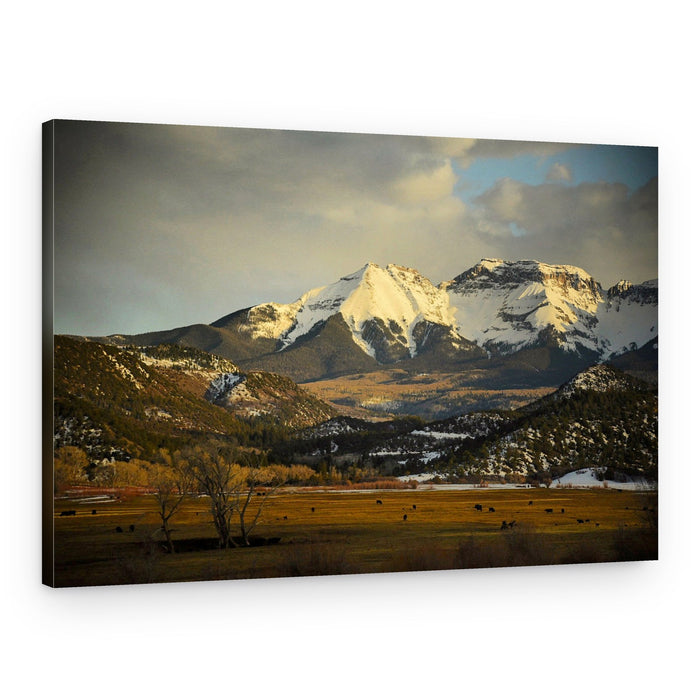 Snowy Mountains Golden Field – Canvas Print