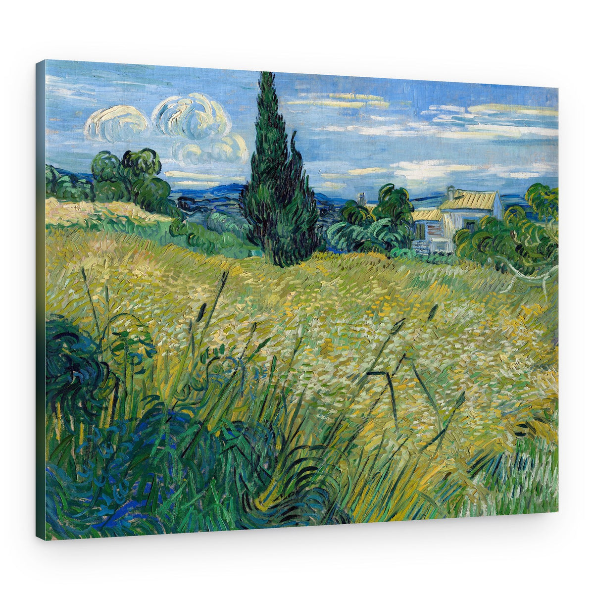 Green Wheat Field With Cypress (1889) – Canvas Print