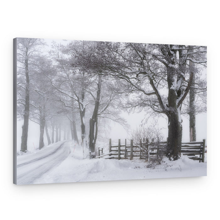 Peaceful Snowy Road – Canvas Print