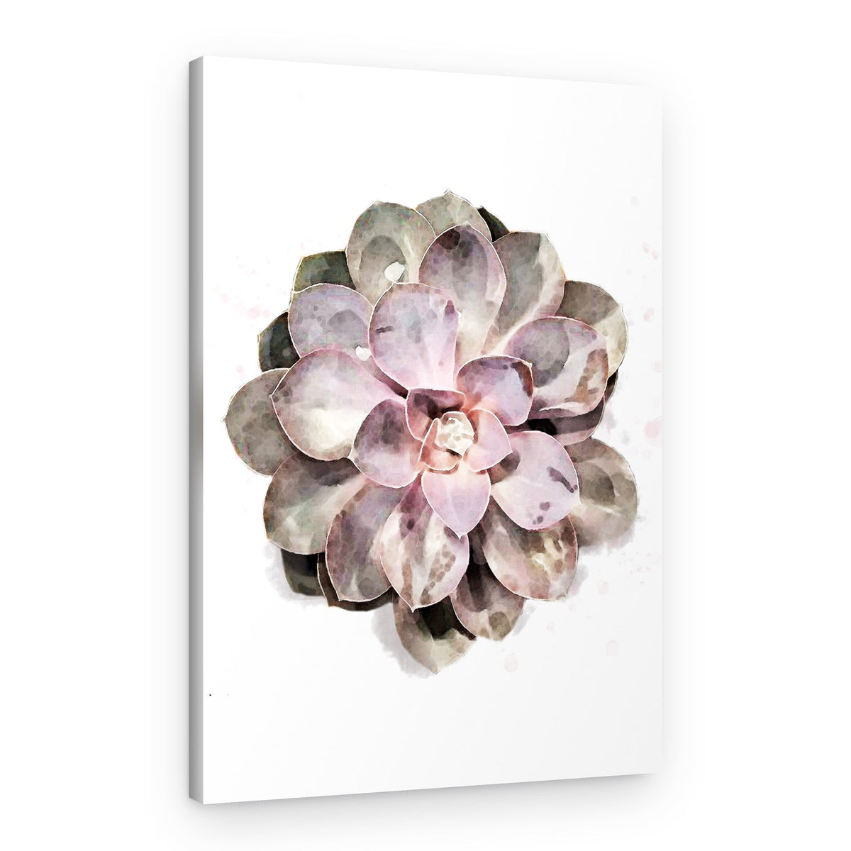 Watercolor Succulent Bloom – Canvas Print