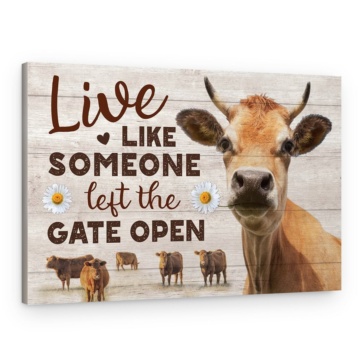 Live Like Someone Left The Gate Open Cow Canvas Print – Canvas Print