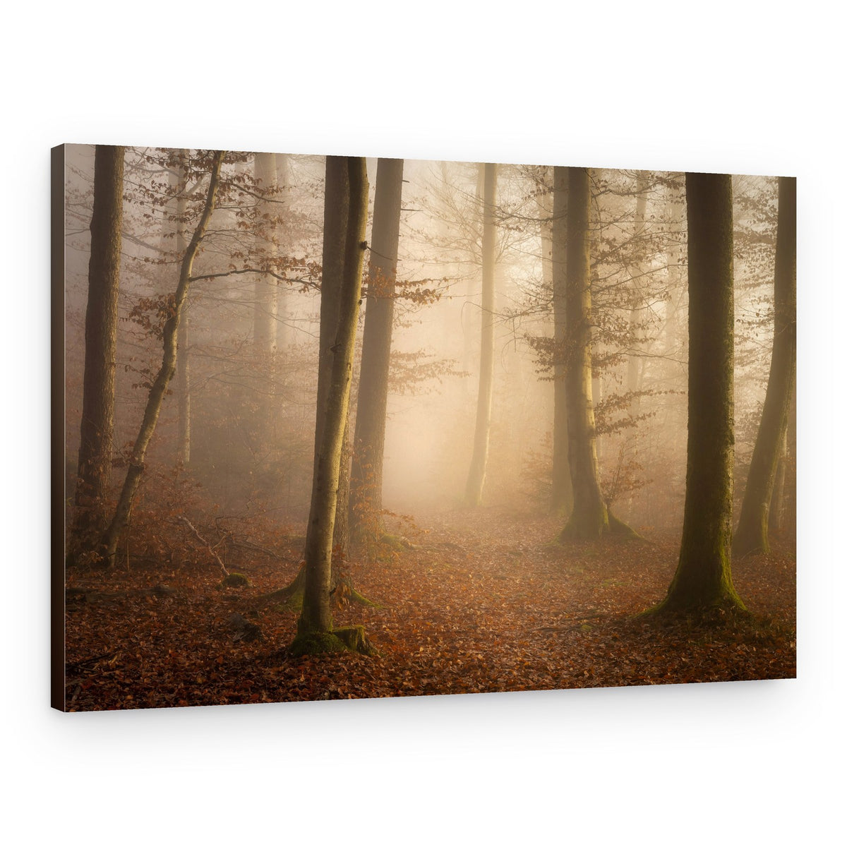 Misty Autumn Forest – Canvas Print