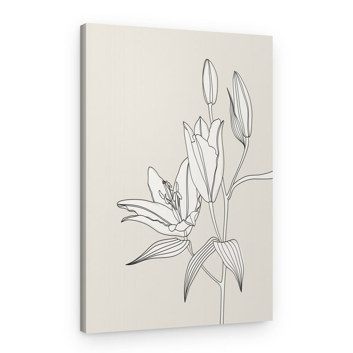 Elegant Lily Bloom – Canvas Print