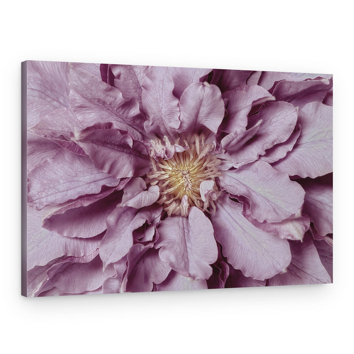 Purple Petal Bloom – Canvas Print