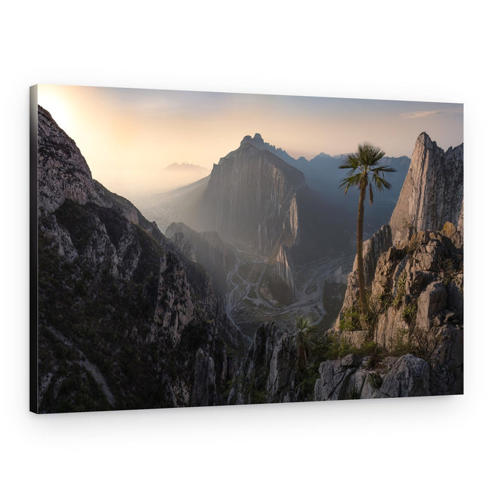 Palm Tree Mountain Sunrise – Canvas Print