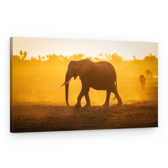 Golden Safari Elephant – Canvas Print