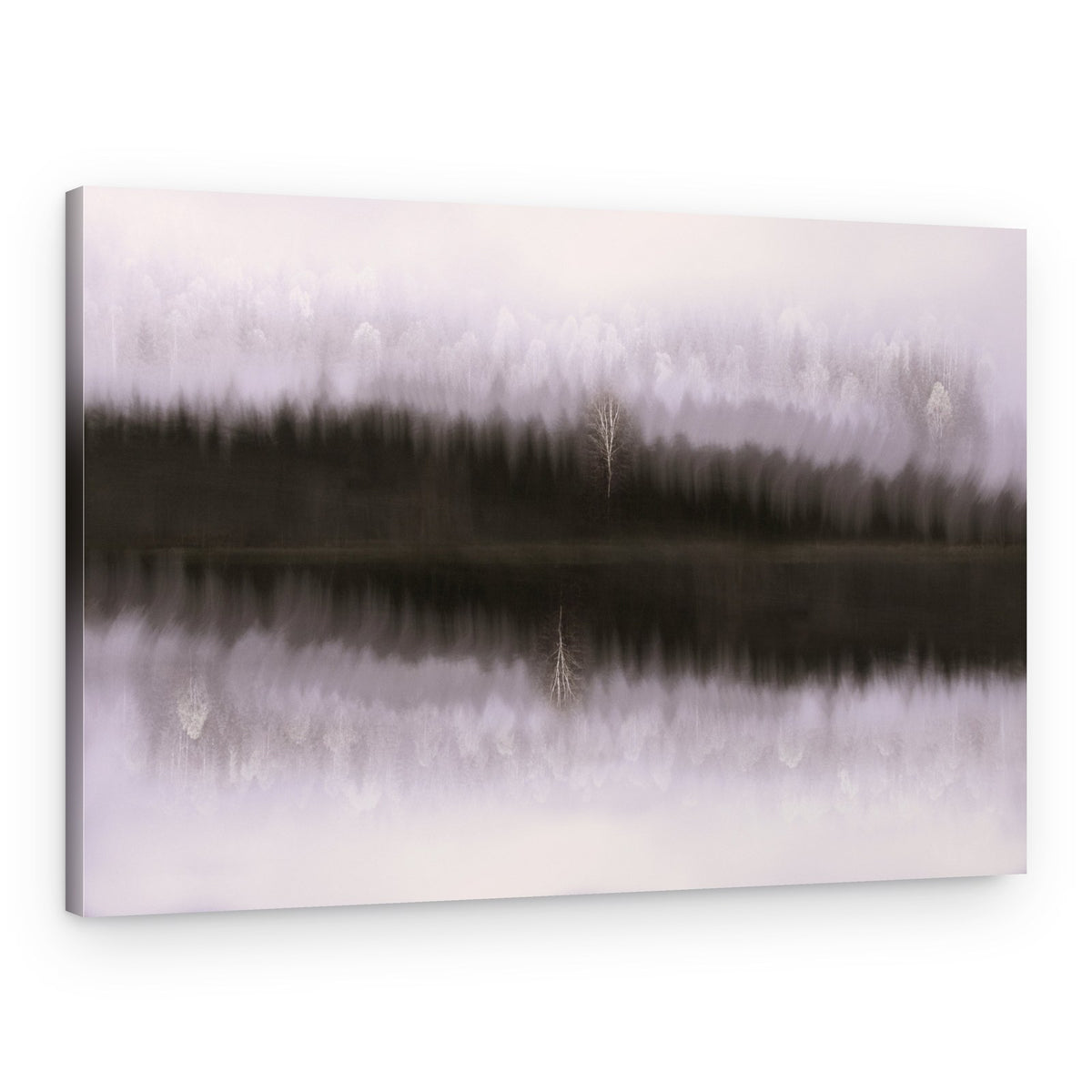 Misty Birch Reflection – Canvas Print
