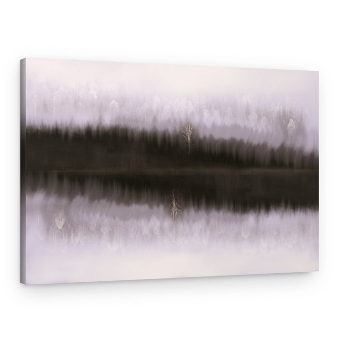 Misty Birch Reflection – Canvas Print