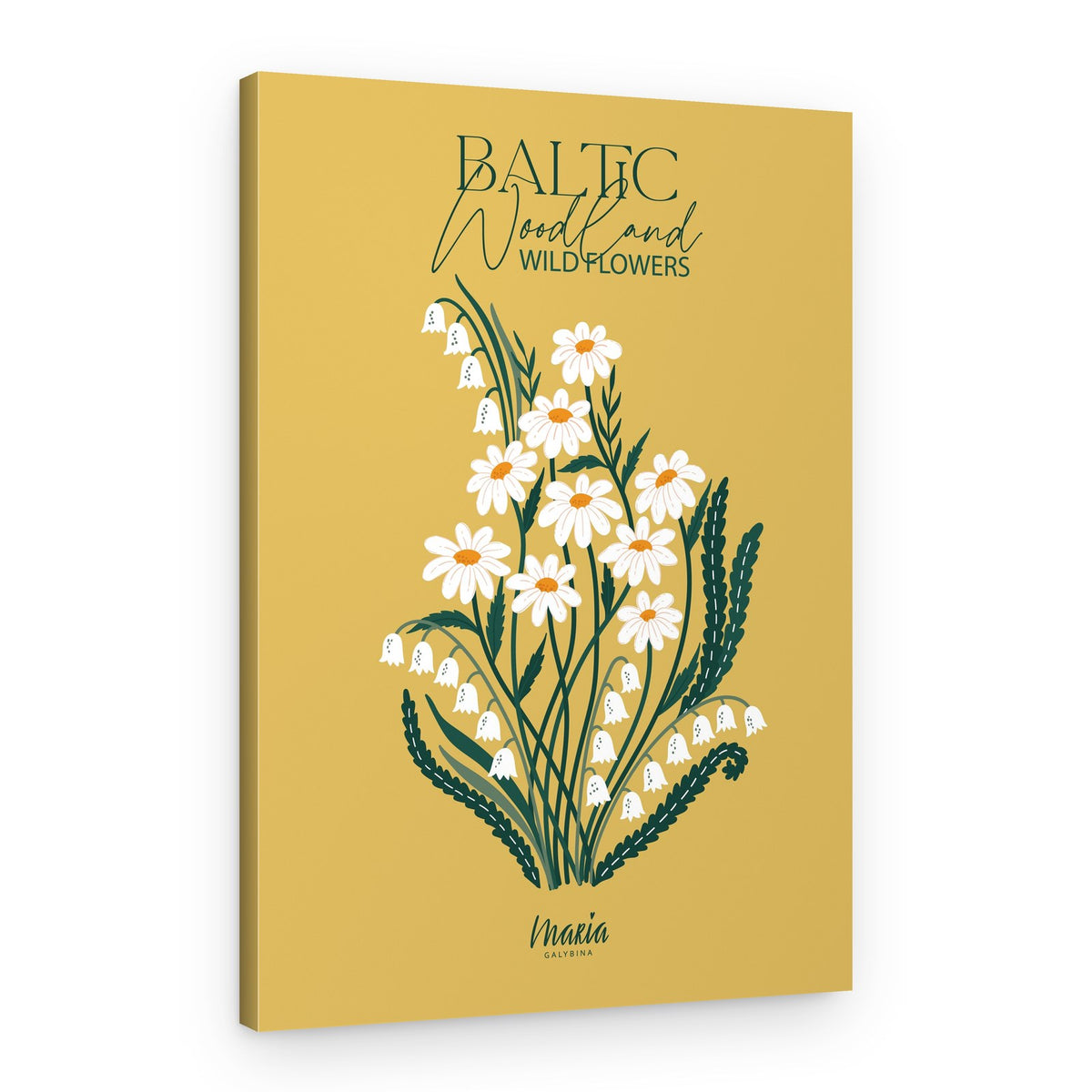 Woodland Daisy Lilies – Canvas Print