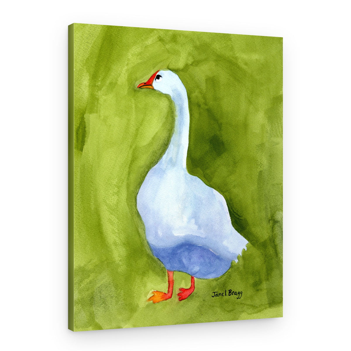 Elegant White Goose – Canvas Print