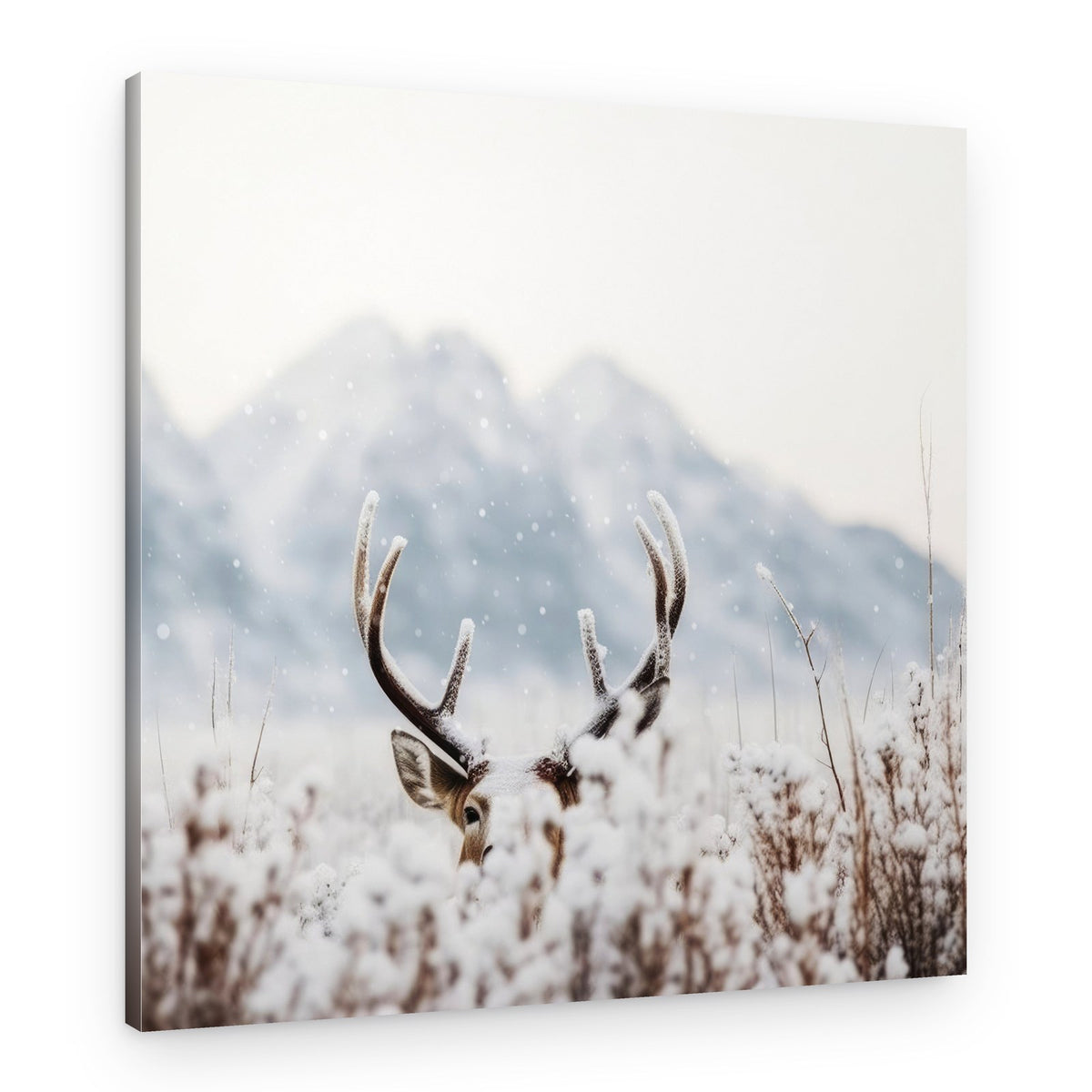 Hidden in Snow – Canvas Print