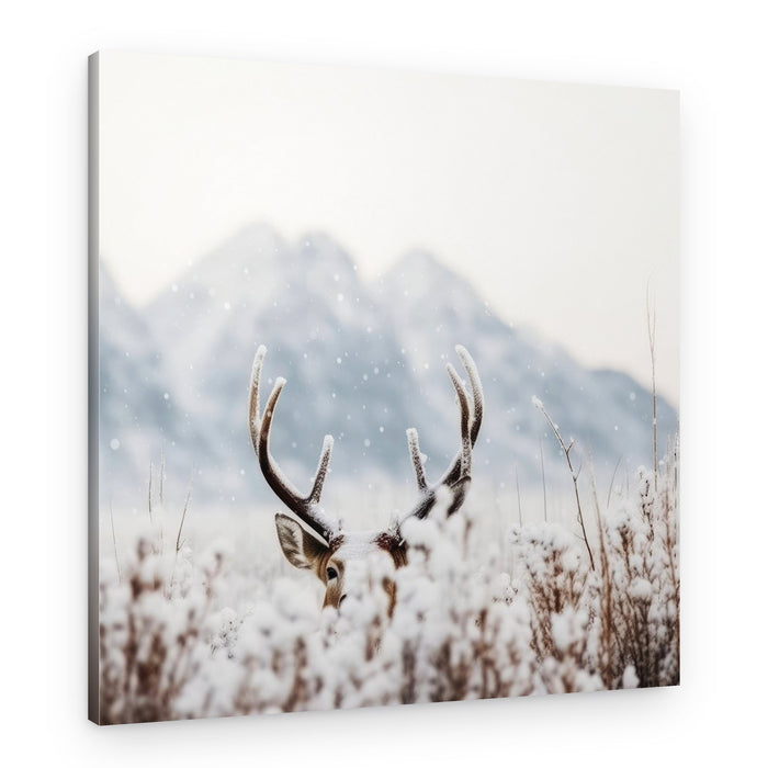 Hidden in Snow – Canvas Print