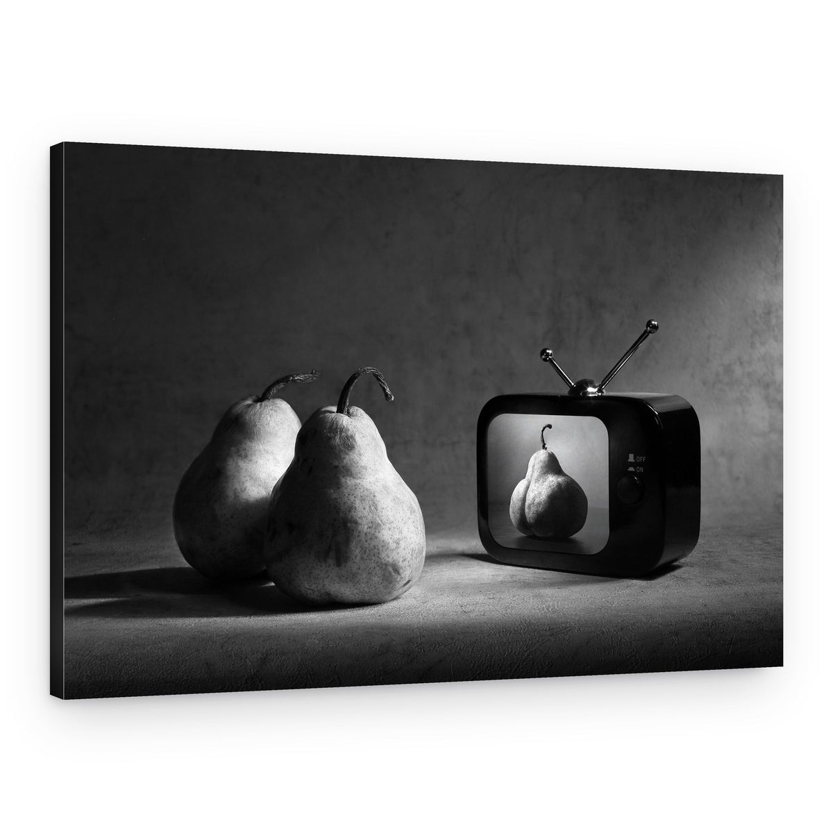 Still Life Broadcast – Canvas Print