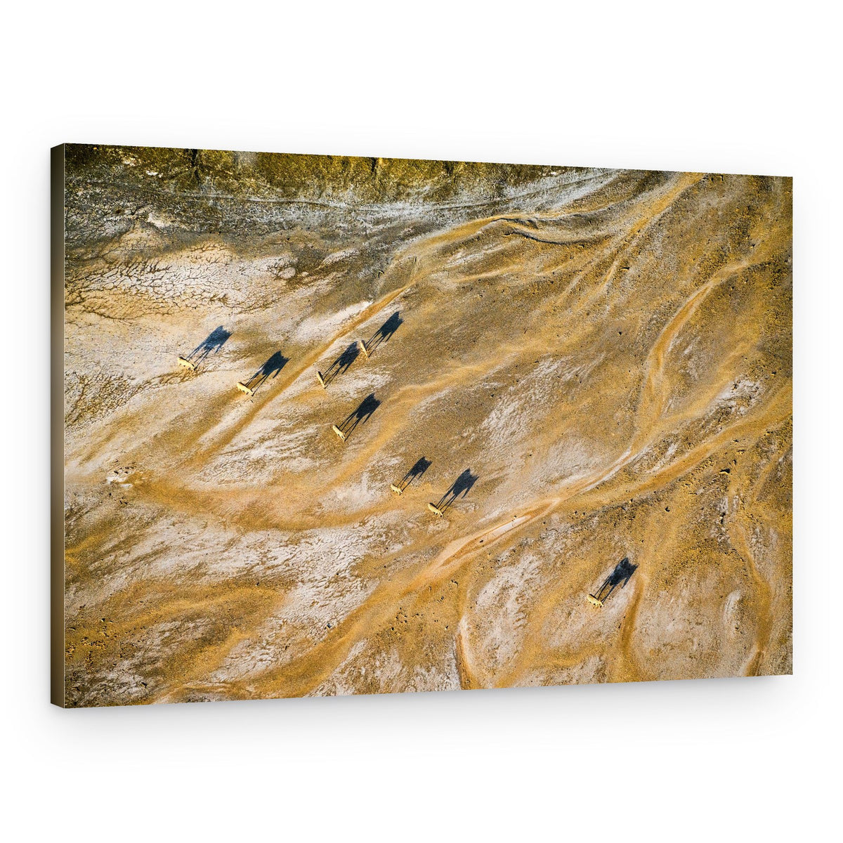 Desert Animals Long Shadows – Canvas Print
