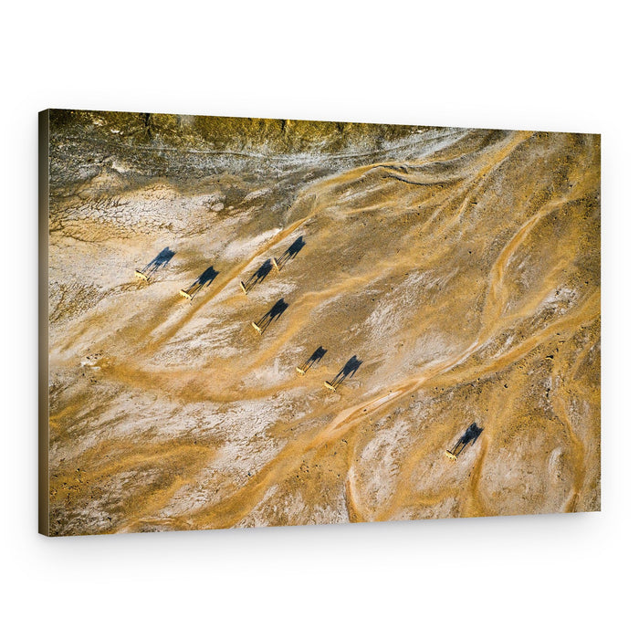 Desert Animals Long Shadows – Canvas Print