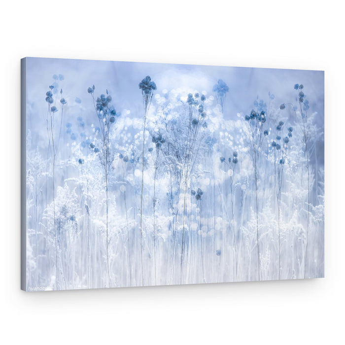 Frosted Winter Plants – Canvas Print