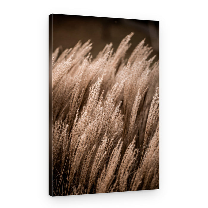 Grass 16 – Canvas Print