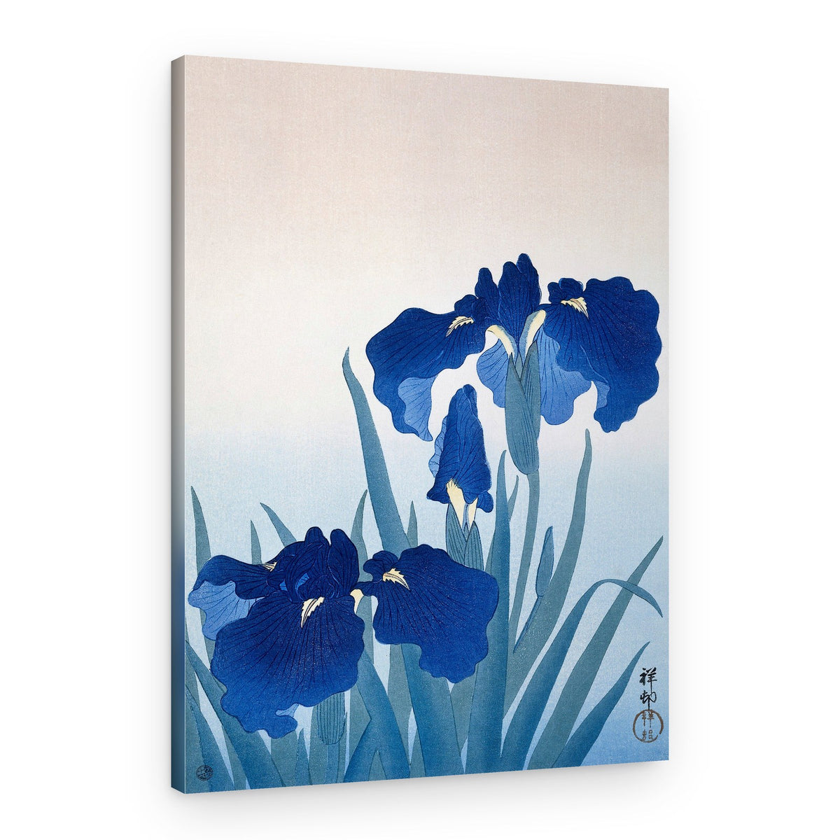 Iris Flowers – Canvas Print