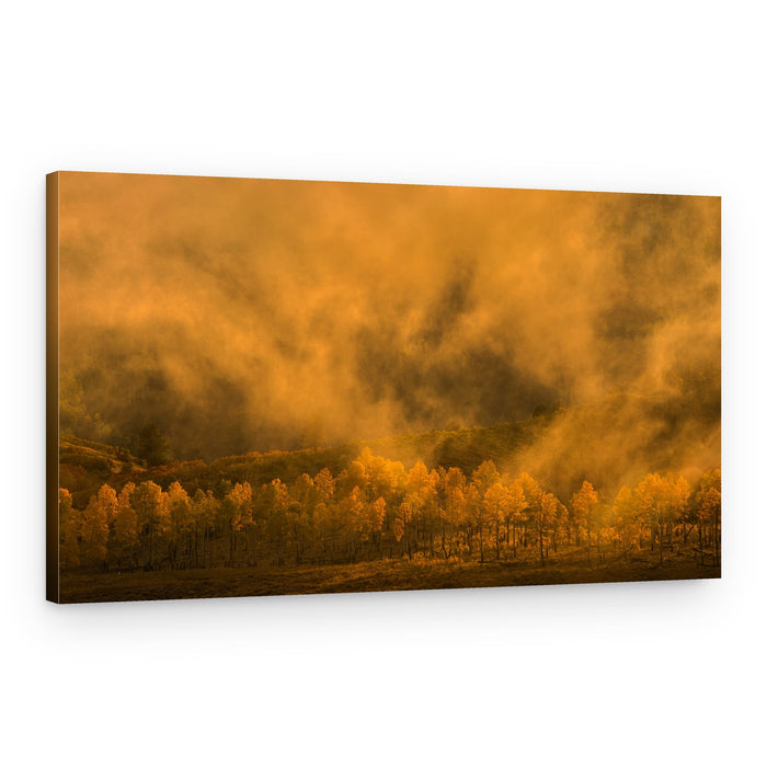 Golden Misty Forest – Canvas Print