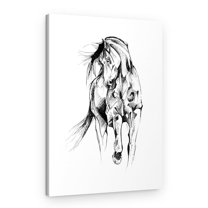 Dynamic Horse Sketch – Canvas Print