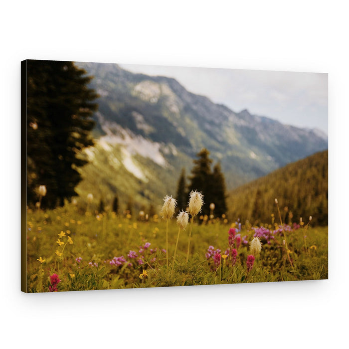 Mountain Meadow Flowers – Canvas Print
