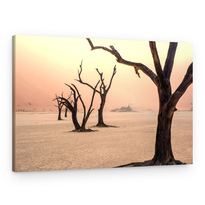 Desert Trees At Dawn – Canvas Print