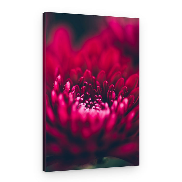 Vibrant Red Petals – Canvas Print